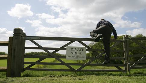 Forest Fights Back Against Metal Theft